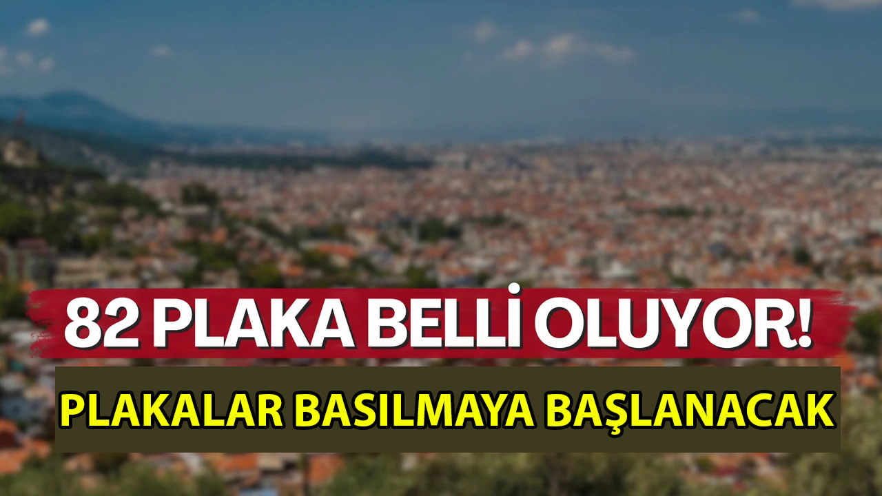 O ilçe 82 plakayı alarak il oluyor! İşte yeni il olacak iller ve 82 plakanın sahibi