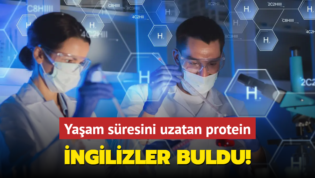 Ömür uzatmanın sırlarını ortaya koyan yeni ilaç! Fare deneylerinde kanser riskini düşürüyor.