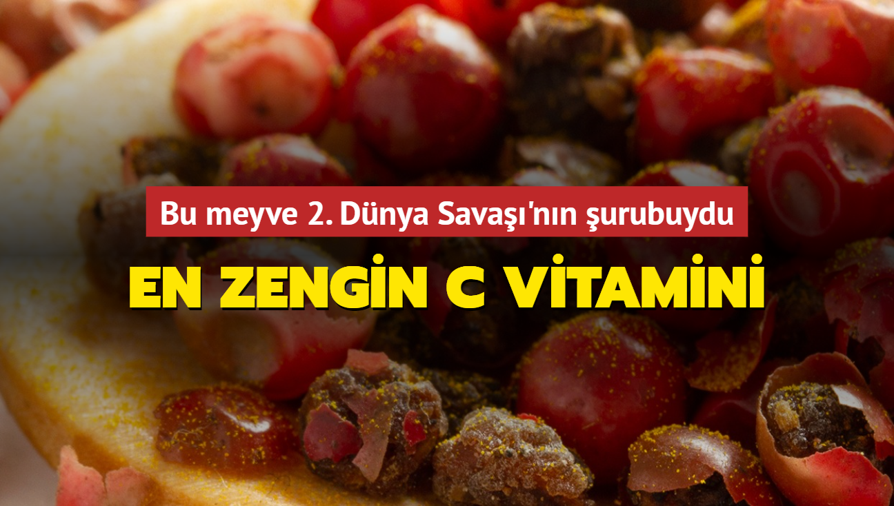 C vitamini zengini bu meyve, enerji kaynağınız olacak! Tarihin unutulmuş bir meyvesi, 2. Dünya Savaşı'nın vazgeçilmeziydi.